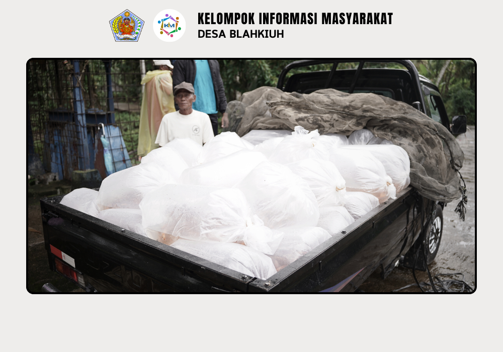 Penebaran Ikan di DAM Sudamala Banjar Ulapan II, Desa Blahkiuh - Image 2