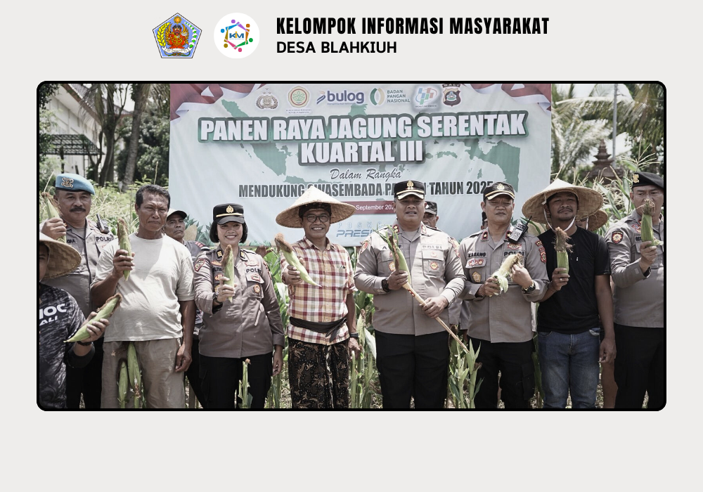 Panen Raya Jagung Serentak Kuartal III di Abiansemal Dukung Swasembada Pangan 2025