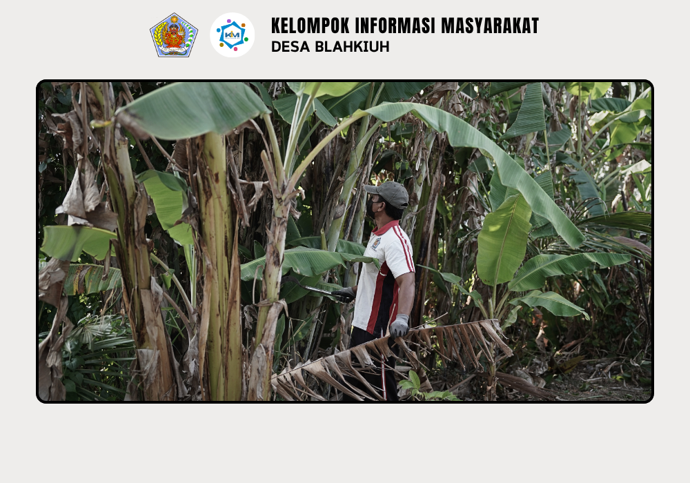 GOTONG ROYONG (KEGIATAN KORVE KEBERSIHAN LINGKUNGAN) - Image 4