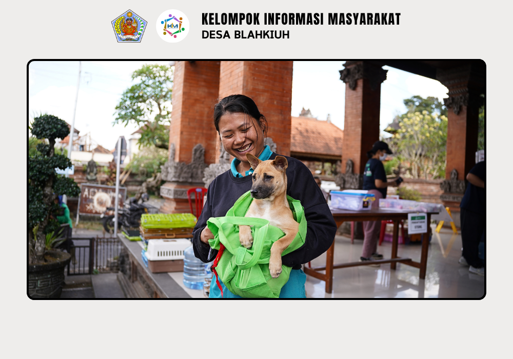 Dinas Pertanian dan Pangan Kabupaten Badung Laksanakan Vaksinasi Rabies dan Kontrol Populasi di Desa Blahkiuh - Image 6