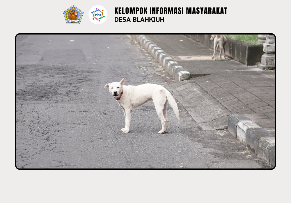 Vaksinasi Rabies untuk Anjing di Wilayah Desa Blahkiuh - Image 10