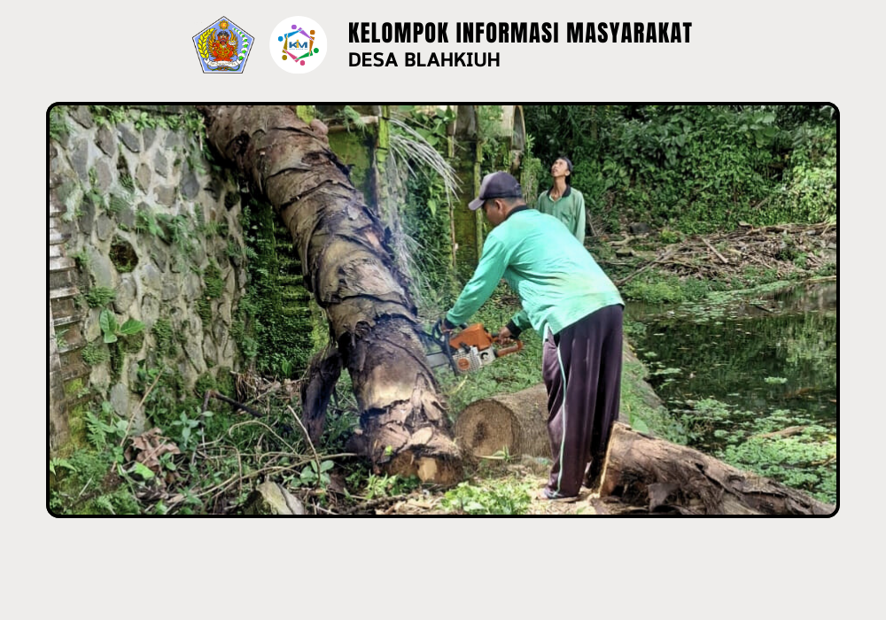 Penanganan Pohon Tumbang di Taman Gili Dukuh oleh Petugas Kebersihan Desa Blahkiuh - Image 4