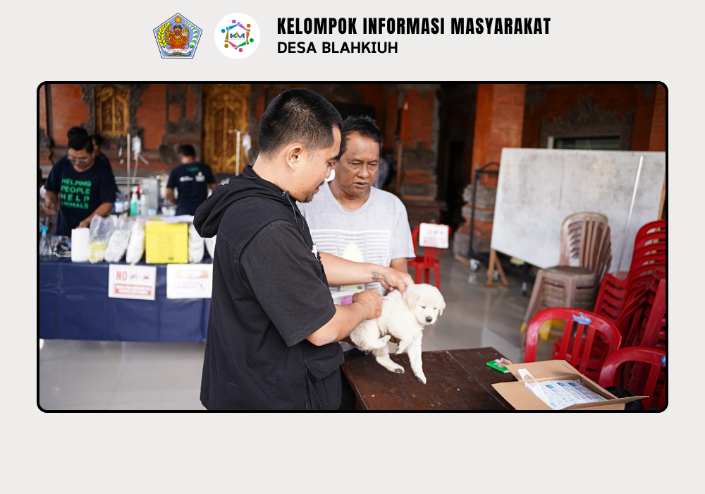 Dinas Pertanian dan Pangan Kabupaten Badung Laksanakan Vaksinasi Rabies dan Kontrol Populasi di Desa Blahkiuh - Image 4