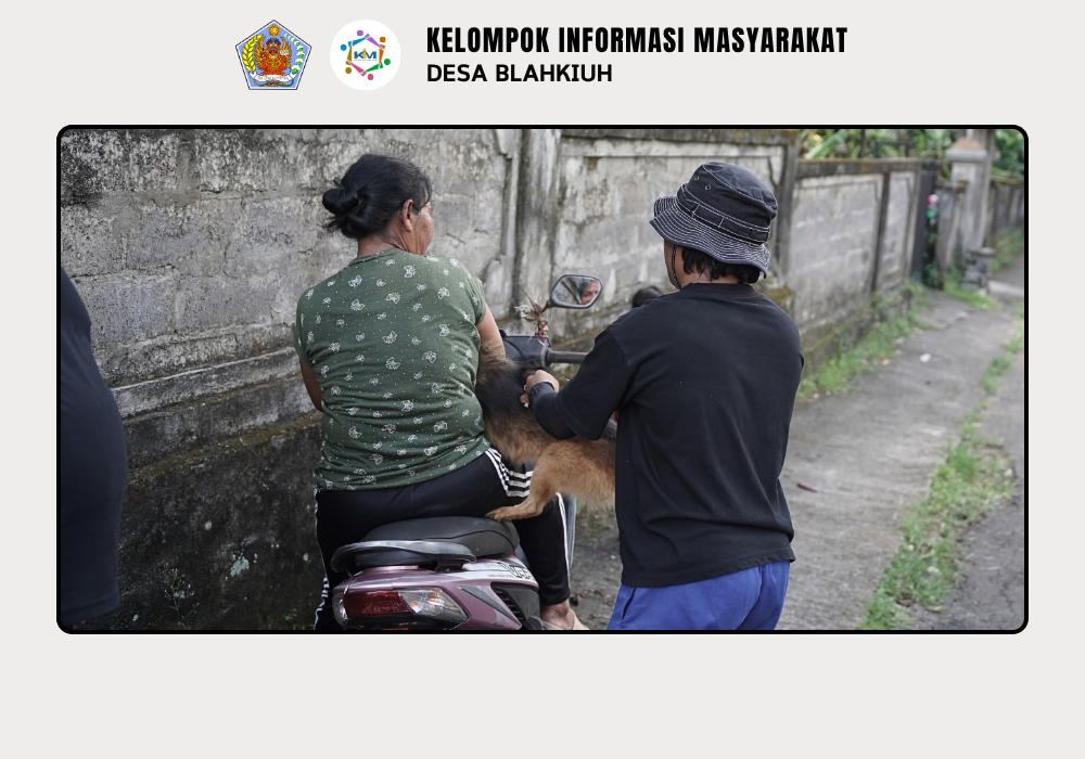 Vaksinasi Rabies Door to Door di Desa Blahkiuh - Image 6