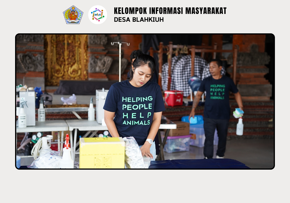 Dinas Pertanian dan Pangan Kabupaten Badung Laksanakan Vaksinasi Rabies dan Kontrol Populasi di Desa Blahkiuh - Image 2