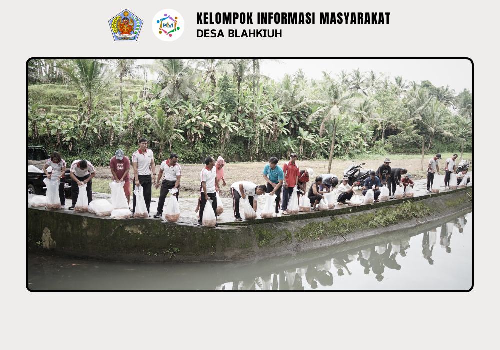 Penebaran Ikan di DAM Sudamala Banjar Ulapan II, Desa Blahkiuh - Image 4