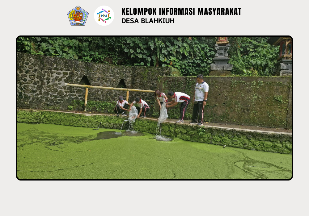 Penebaran Ikan di DAM Sudamala Banjar Ulapan II, Desa Blahkiuh - Image 8