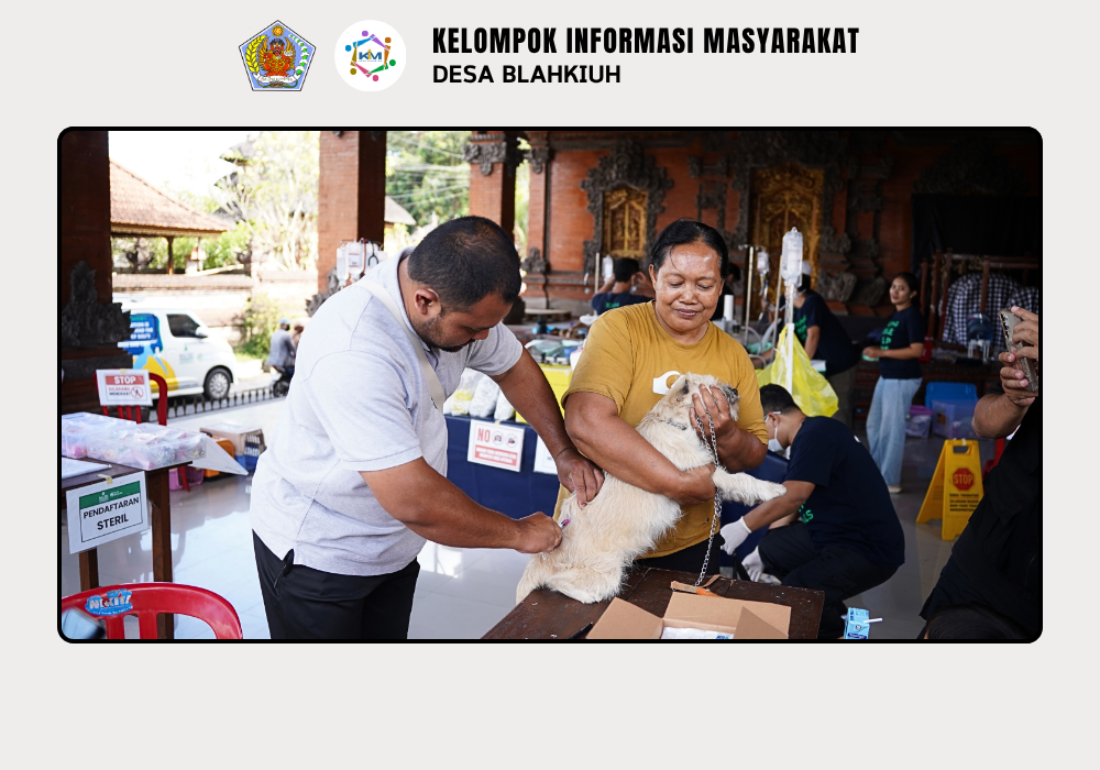 Dinas Pertanian dan Pangan Kabupaten Badung Laksanakan Vaksinasi Rabies dan Kontrol Populasi di Desa Blahkiuh - Image 8