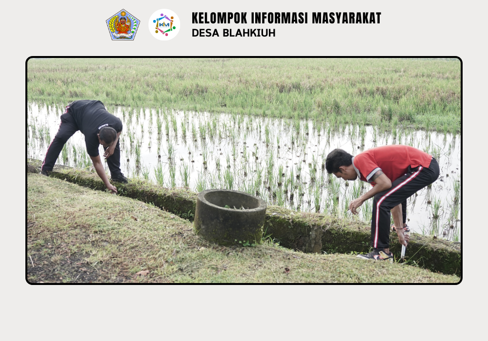 Gotong Royong Peringati Hari Desa Nasional Tahun 2026 di Desa Blahkiuh - Image 3