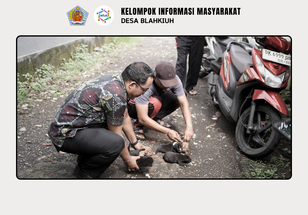 Vaksinasi Rabies untuk Anjing di Wilayah Desa Blahkiuh - Image 7