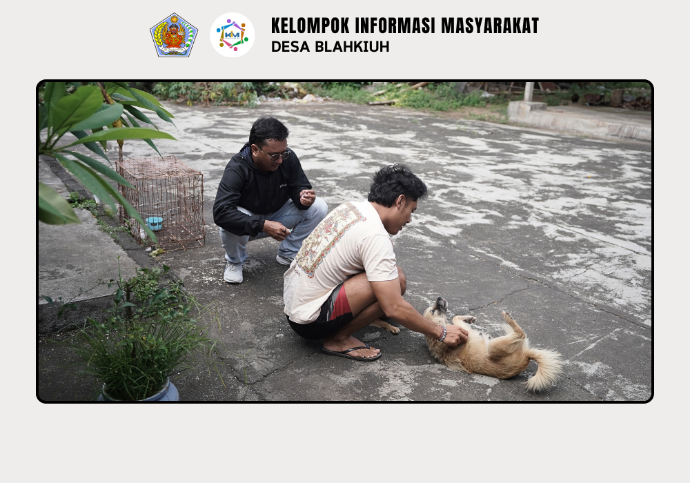 Vaksinasi Rabies Door to Door di Desa Blahkiuh - Image 7