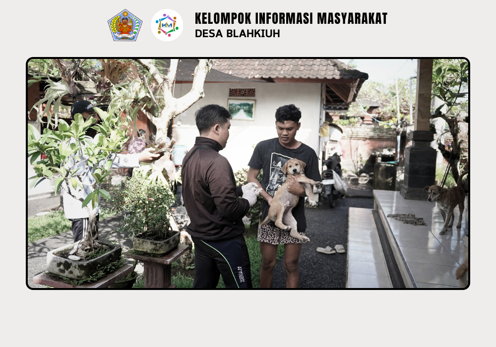 Vaksinasi Rabies untuk Anjing di Wilayah Desa Blahkiuh - Image 3