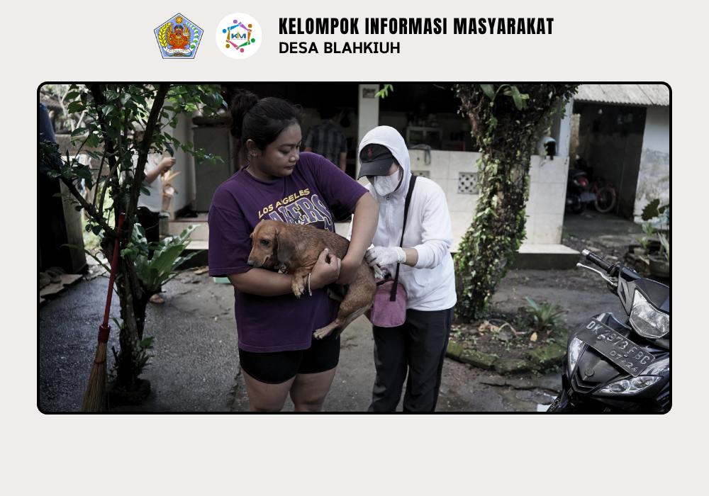 Vaksinasi Rabies untuk Anjing di Wilayah Desa Blahkiuh - Image 4