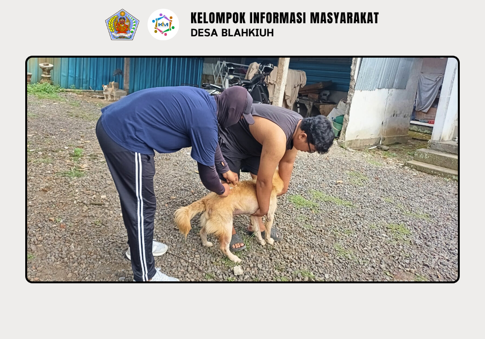 Vaksinasi Rabies Door to Door di Desa Blahkiuh - Image 8