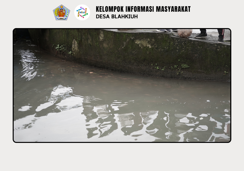 Penebaran Ikan di DAM Sudamala Banjar Ulapan II, Desa Blahkiuh - Image 6