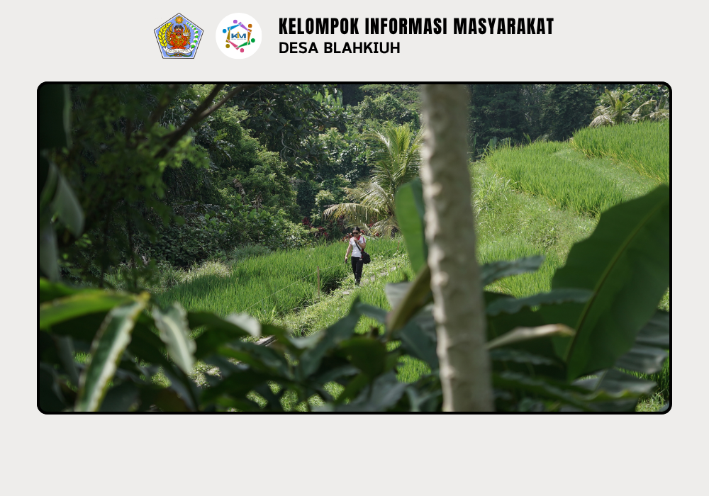 BPD Blahkiuh Laksanakan Monitoring dan Evaluasi Kegiatan Pembangunan Desa Blahkiuh - Image 9